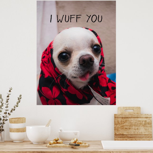 Poster Chihuahua fofo Eu queria que você amasse Namorados (Cozinha)