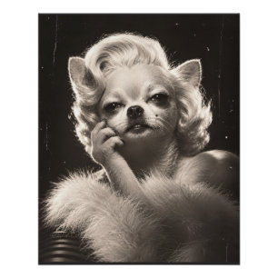 Póster Chihuahua Glamourosa em um Retrato Vintage de Holl