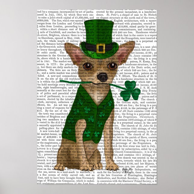Póster Chihuahua Leprechaun (Frente)