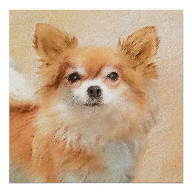 Póster Chihuahua Pintura De Cachorro De Cabelo Longo (Frente)