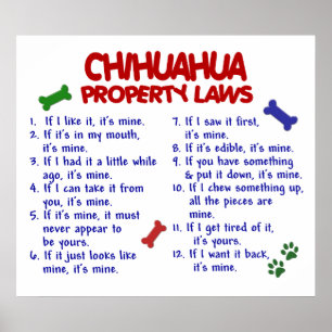POSTER CHIHUAHUA PL2