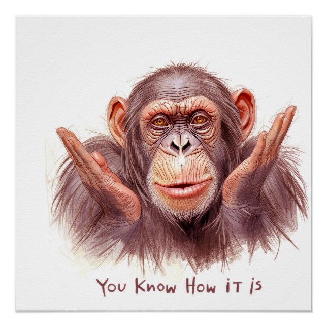 Póster Chimp Telling You :"You Know How It Is" (Frente)