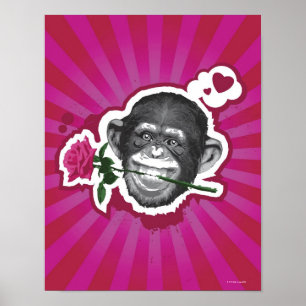 Poster Chimpanzé com um rosa em sua boca