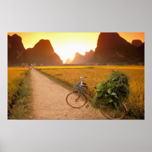 Póster China, Guangxi. Yangzhou, Bicicleta no campo