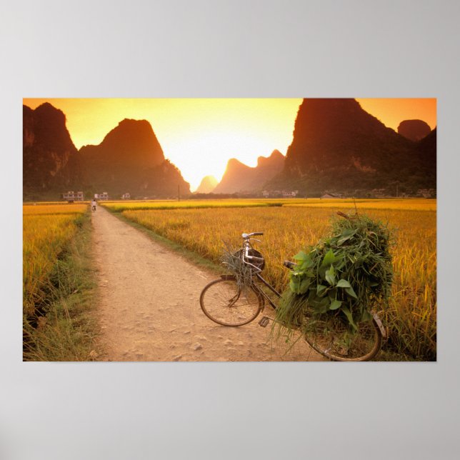 Póster China, Guangxi. Yangzhou, Bicicleta no campo (Frente)