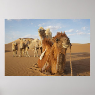 Póster China, Inner Mongolia, deserto 2 de Badain Jaran