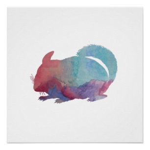 Póster Chinchilla