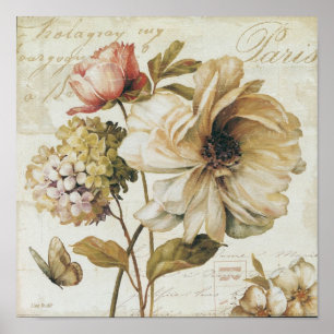 Poster Chinês Rosa do vintage