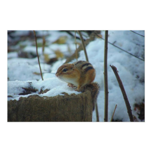 Póster Chipmonk na neve (Frente)