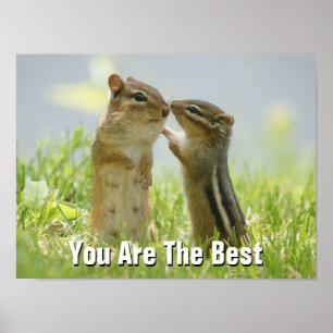 Póster Chipmunk da mãe e do bebê