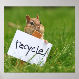 Póster Chipmunk do reciclagem