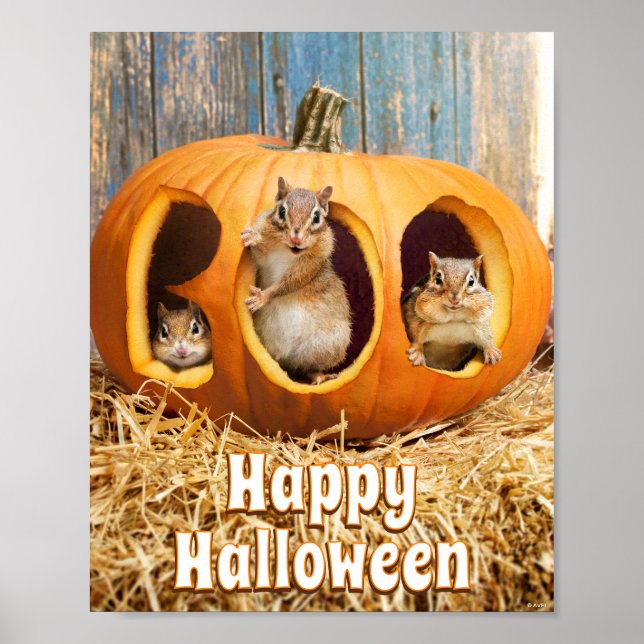 Poster Chipmunks Dentro Boo Jack-o-Lanterna (Frente)