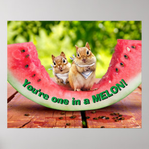 Poster Chipunks comendo melancia