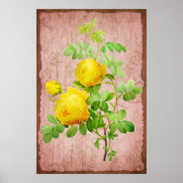 Poster Chique de Vintage Rosas Amarelas Fundo Rosa