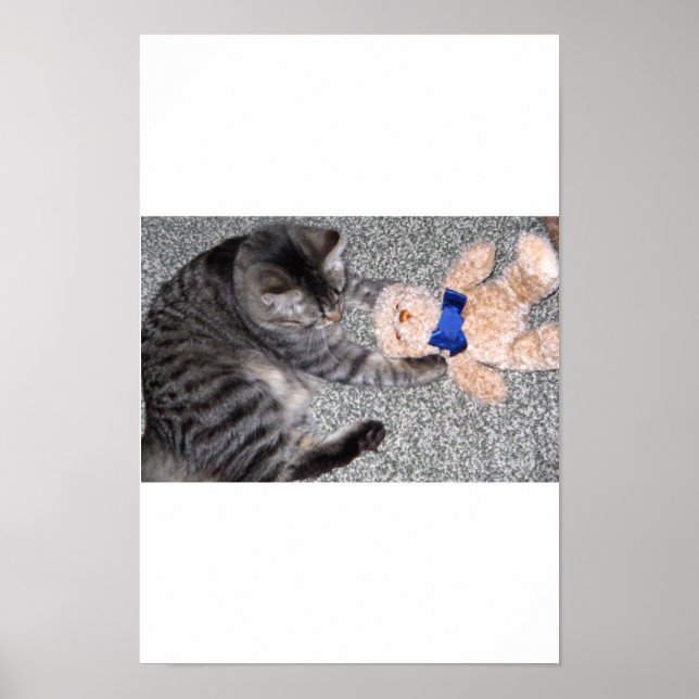 Póster "Chiro-Cat" (Frente)