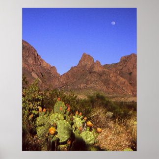Poster Chisos Moonrise