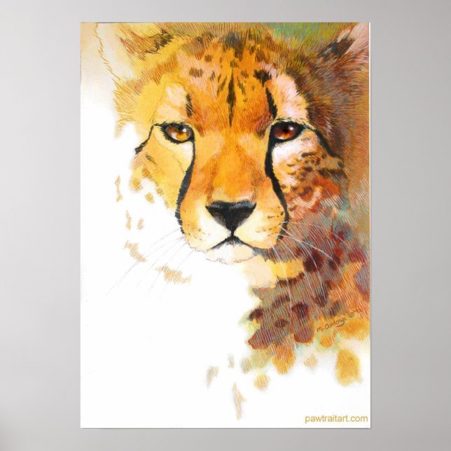 Póster Chita! (Frente)