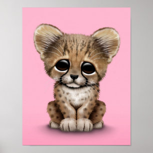 Póster Chita bonito Cub do bebê no rosa