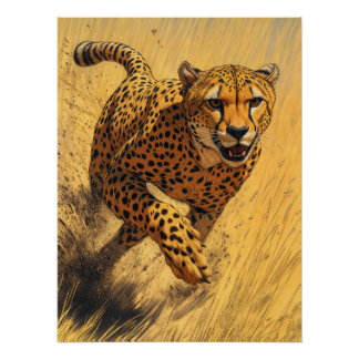 Póster Chita em Sprint