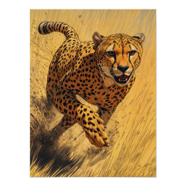 Póster Chita em Sprint (Frente)