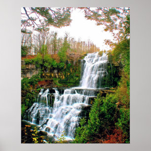 Póster Chittenango Falls State Pak