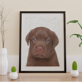 Póster Chocolate Labrador Glossy Poster