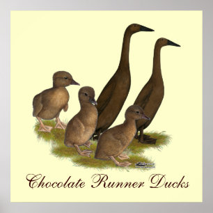 Póster Chocolate Runner Duck Family