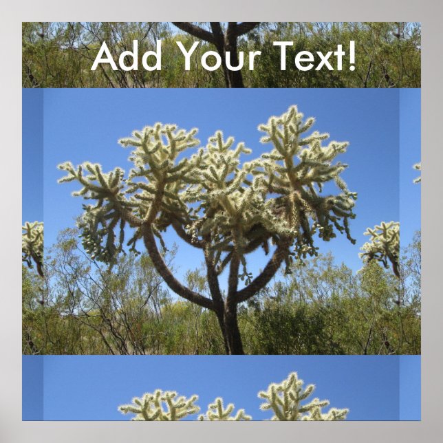 Poster Cholla Cactus (Frente)