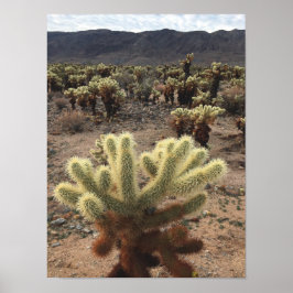Poster Cholla Cactus Joshua Tree Park Foto