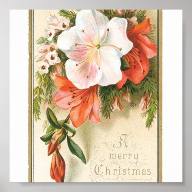 Póster Christmas Flowers (Frente)