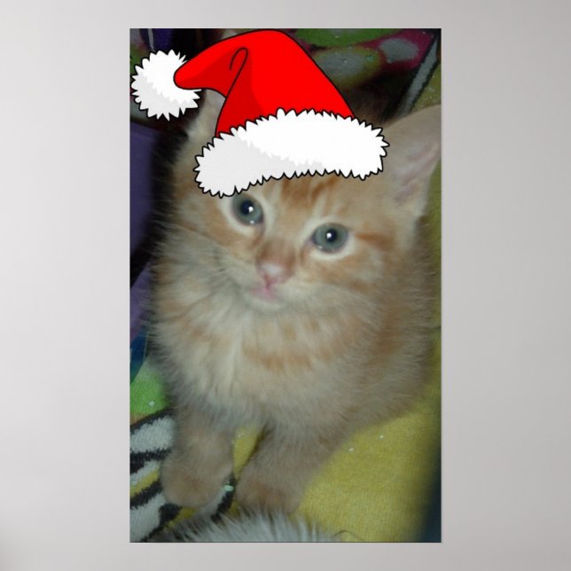 Póster Christmas Orange Tabby Kitten (Frente)