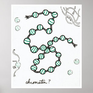 Poster Chromatin print