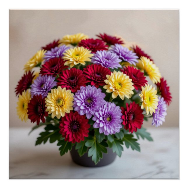 Póster Chrysanthemum (Frente)