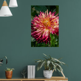 Poster Chrysanthemum Orange Canadian Flower Photoics