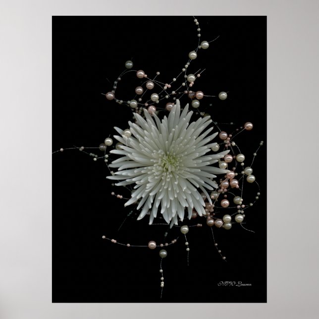 Poster Chrysanthemum & Pearls (Frente)
