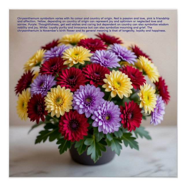 Póster Chrysanthemum Symbolism (Frente)