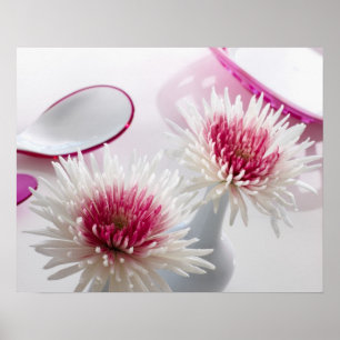 Póster Chrysanthemums