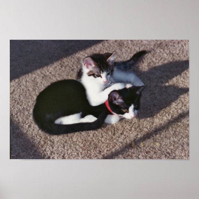 Póster Chuda & Sami (Frente)