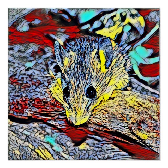 Póster Chute de cor - mouse (Frente)