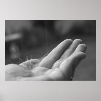 Póster Chuva Capturada