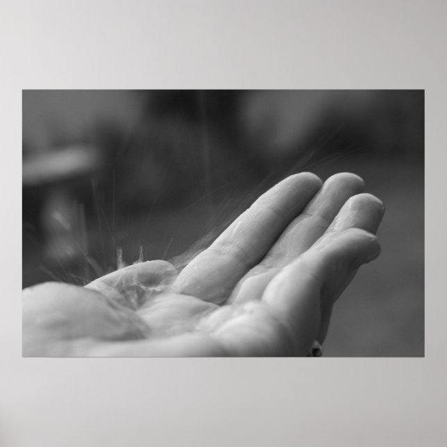 Póster Chuva Capturada (Frente)