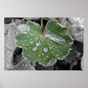 Póster chuva pesada