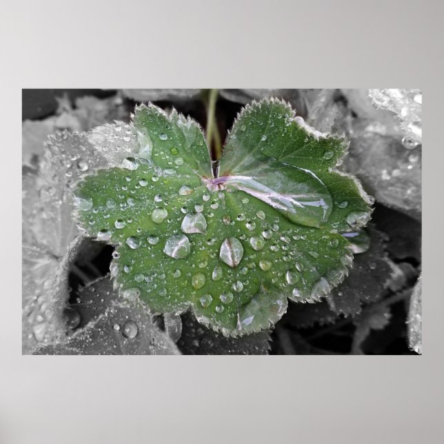 Póster chuva pesada (Frente)