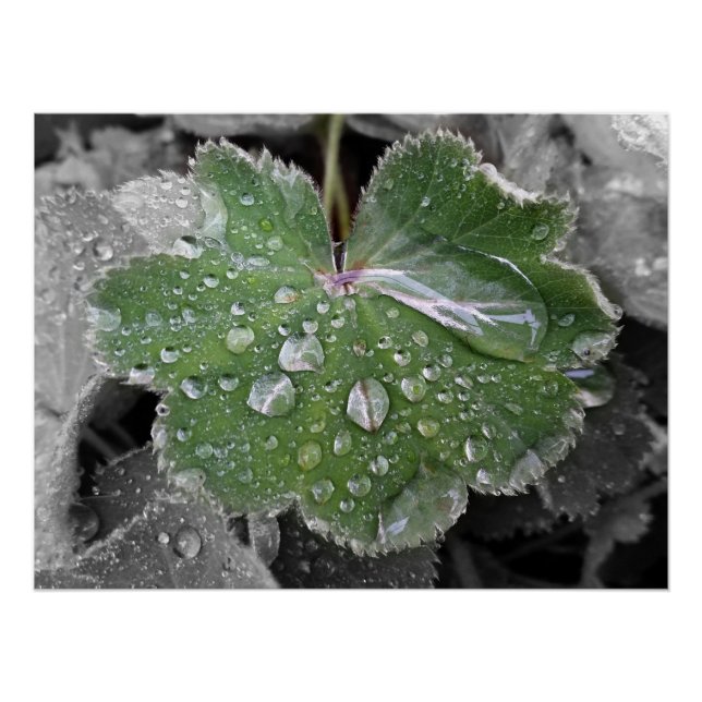 Póster chuva pesada (Frente)