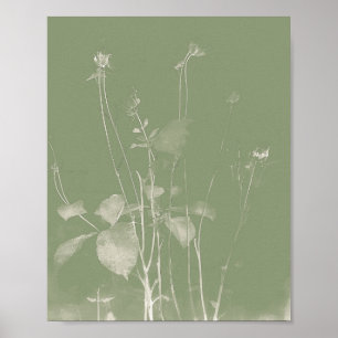 Poster Cianótipo 1 de flor selvagem verde Pote de flores