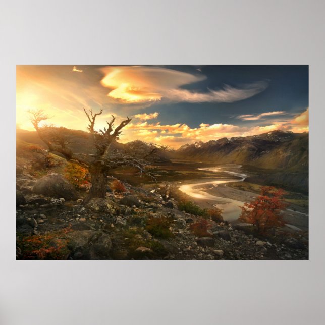 Poster Cião Da Natureza (Frente)