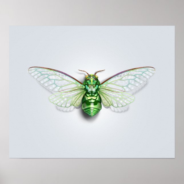 Poster Cicada (Frente)