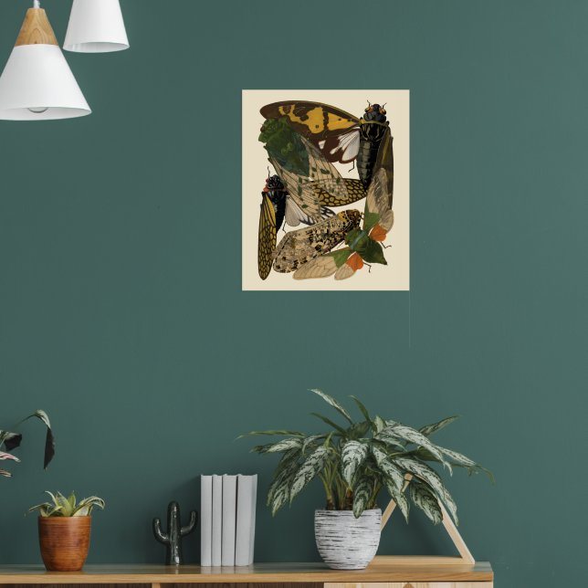 Poster Cicadas Insects Vintage 1929 Illustrations (Sala de Estar 1)