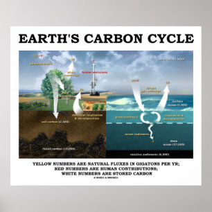 Póster Ciclo de Carbono da Terra (Ciência da Terra)
