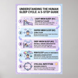 Poster Ciclo de Sono Humano: Um Guia Infográfico de 5 Eta